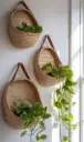 Hanging Rattan Garden